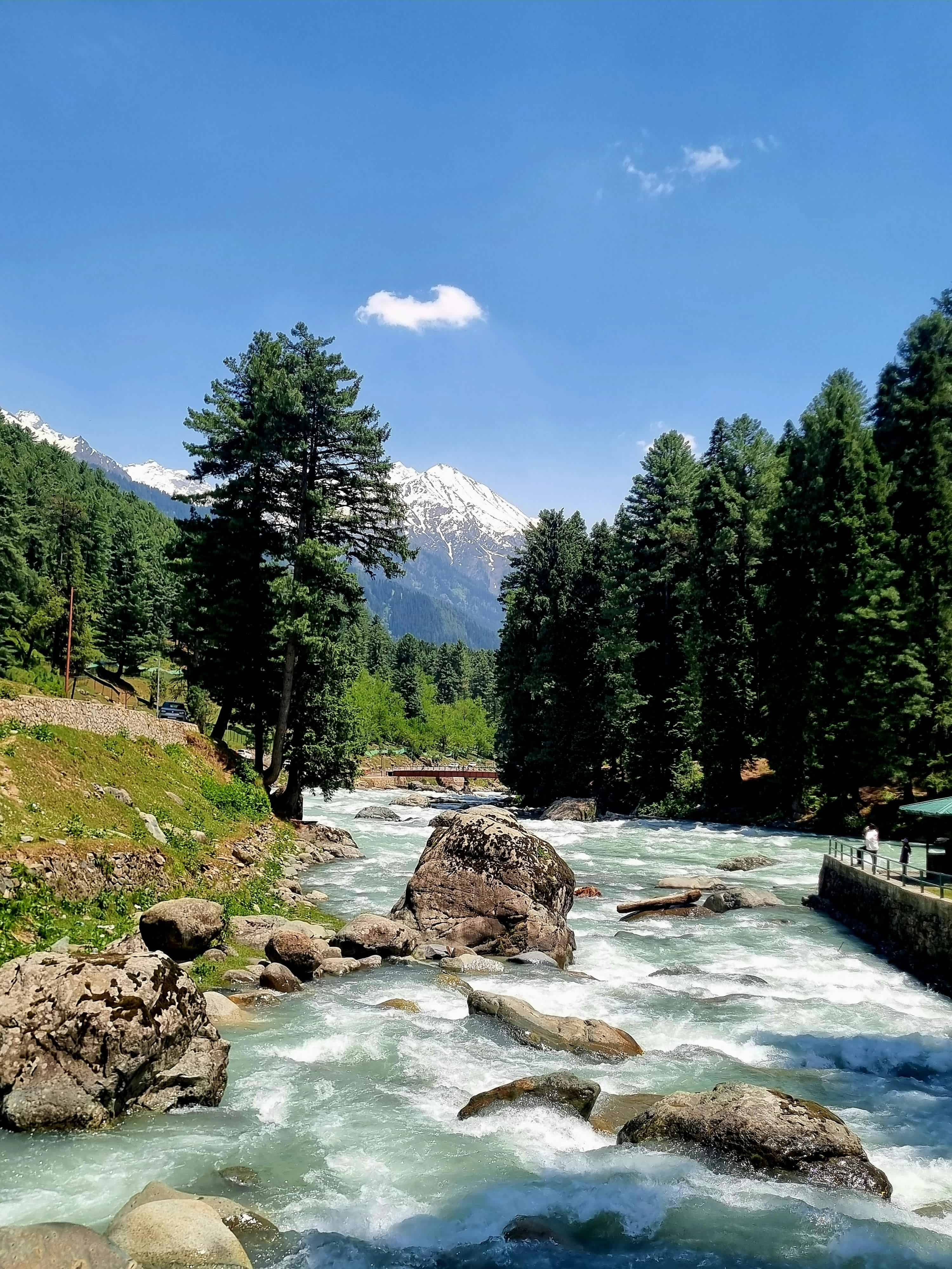 Protecting nature for future generations.